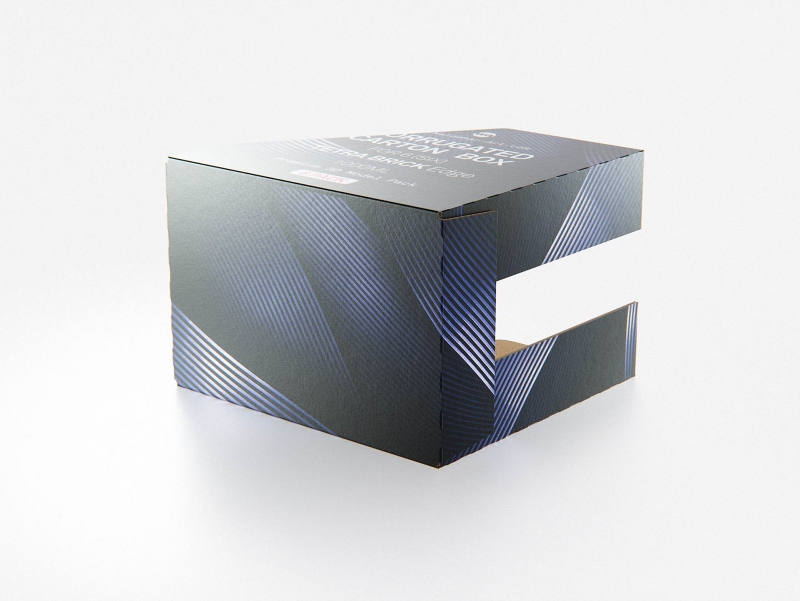 Premium Packaging 3D Model of corrugated cardboard box for 6x1000ml Tetra Brick Edge