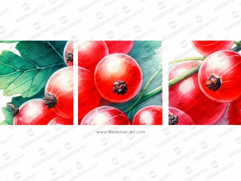 Premium Digital Watercolor Illustration of a few red currant berries, designed with a minimalist and detailed style