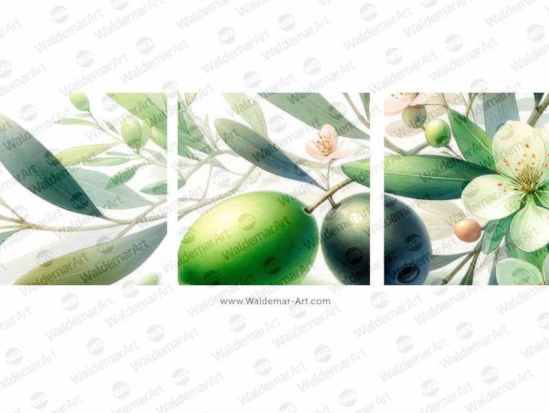 Premium Digital Watercolor Illustration of a single green olive and one black olive, surrounded by several tender leaves