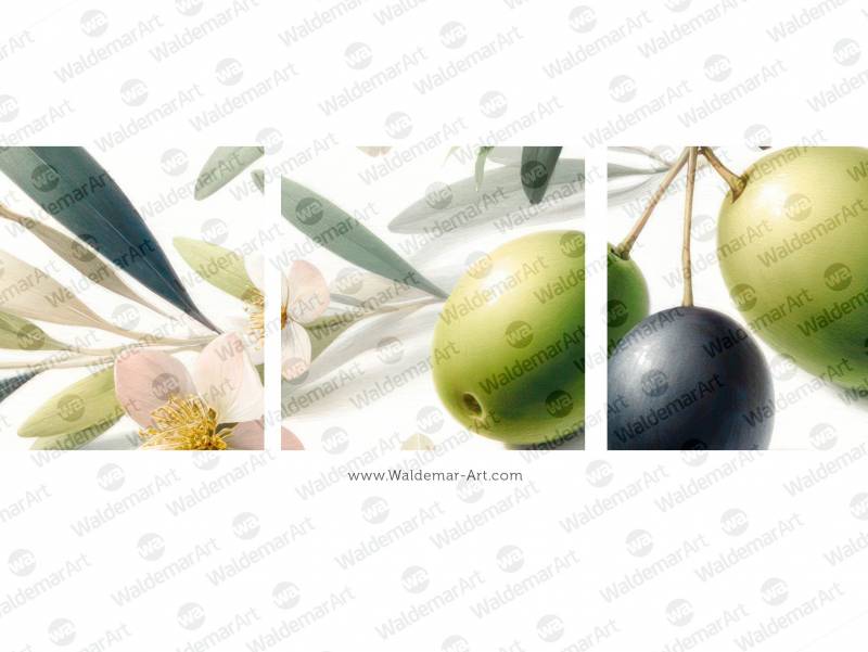 Premium Digital Watercolor Illustration of a single green olive and one black olive, along with several leaves and a few blossoms