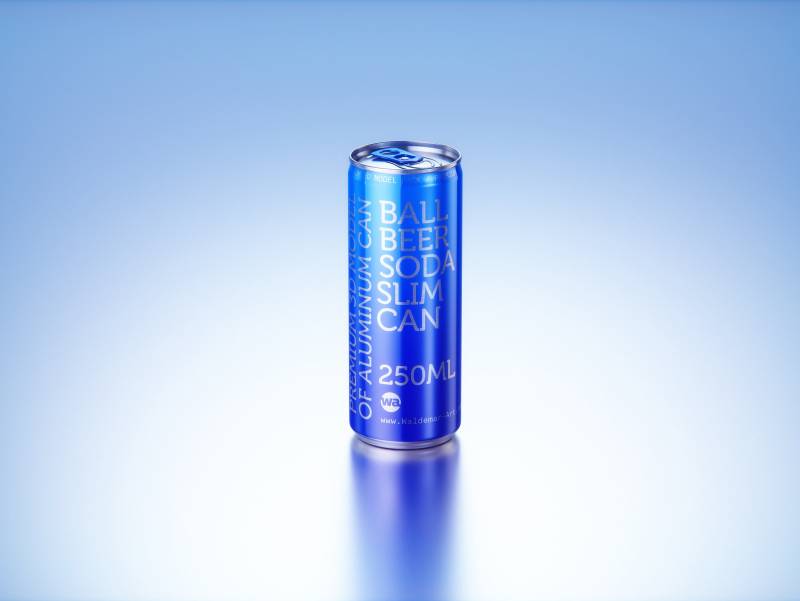 Multi-pack of 24x250ml Slim Beer/Soda Cans packed in cardboard and wrapped in shrink film premium packaging 3d model