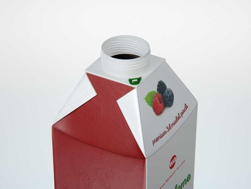 SIG Combidome 1000ml 3D packaging model