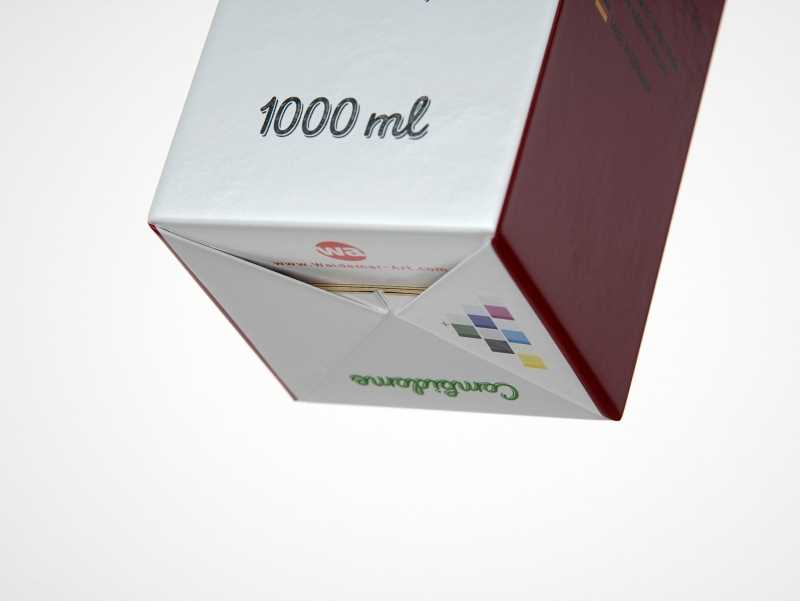 SIG Combidome 1000ml 3D packaging model