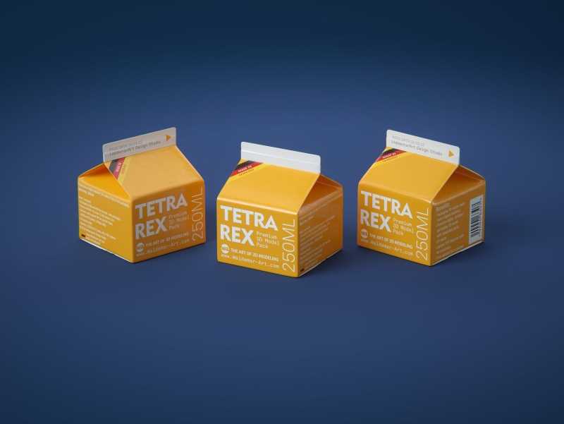 Tetra REX 250ml Professional carton packaging 3D model pak