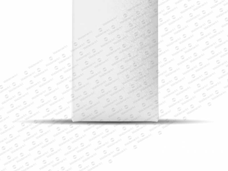 Tetra Pack Gemina Aseptic 1000ml Square Package MockUp with StreamCap Front View