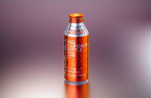 Packaging 3D model of the Tin metal can 250g with pull open