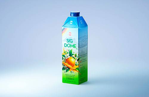 Cleansing Gel Plastic Bottle 200ml packaging 3D model