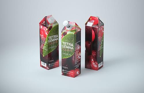 Smoothie Plastic Bottle 300ml packaging 3d model