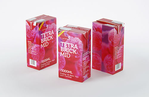 Packaging 3D model pak of Tetra Pack Top 1000ml Base with Katla S38