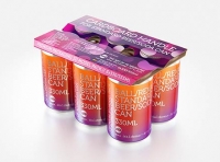 Premium Packaging 3D Model of cardboard holder for 6x330/355ml Standard Soda/Beer Can  