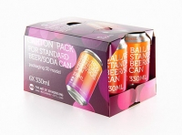 Premium Packaging 3D Model of carton package for 6x330ml Standard Beer/Soda Can  