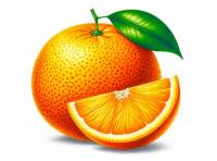 Premium Digital Watercolor Illustration featuring aa whole orange with one green leaf attached and a quarter slice of an orange
