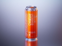 Beer/Soda Standard Aluminum Can 3d packaging model 500ml