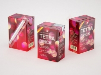 Tetra Pak Brick Base 100ml with Pull Tab and a packaged straw packaging 3d model pak