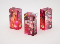 Tetra Pack Brik Mid 200ml with Pull Tab and a packaged straw packaging 3d model pak