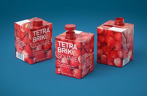Tetra Pack Brick Square 500ml with HeliCap 27 3D model pak