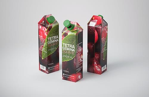 Premium 3D model pak of Tetra Pack Gemina Square 1000ml with HeliCap 27 closure
