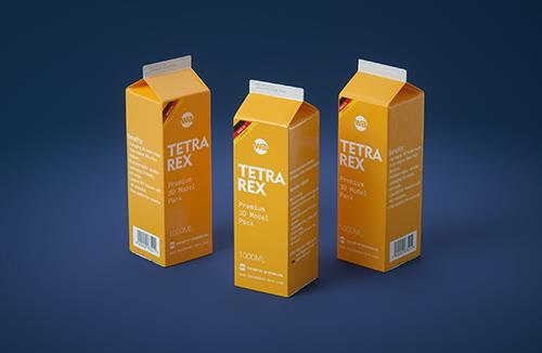 Tetra Pack REX 1000ml Professional carton packaging 3D model pak
