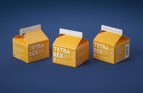 Tetra REX 250ml Professional carton packaging 3D model pak