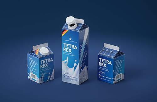 Tetra Pack Rex 500 and 1000ml carton package 3D model pak with TwistCap